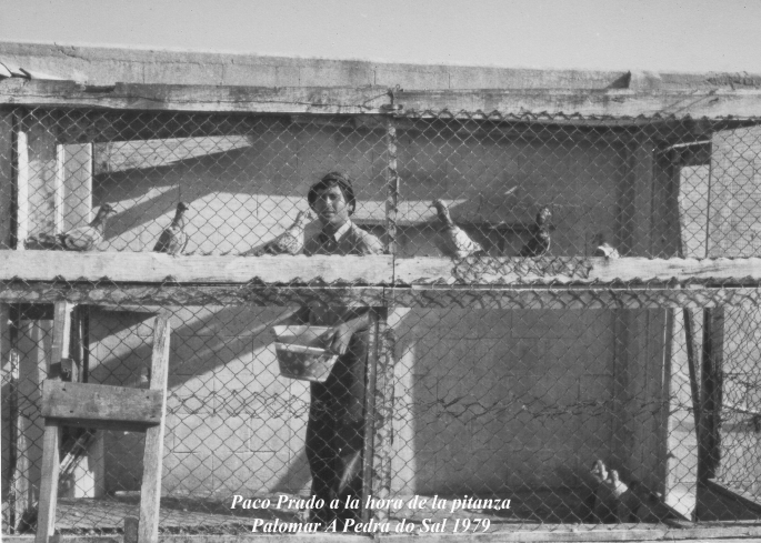 Paco Prado, Palomar A Pedra do Sal 1979