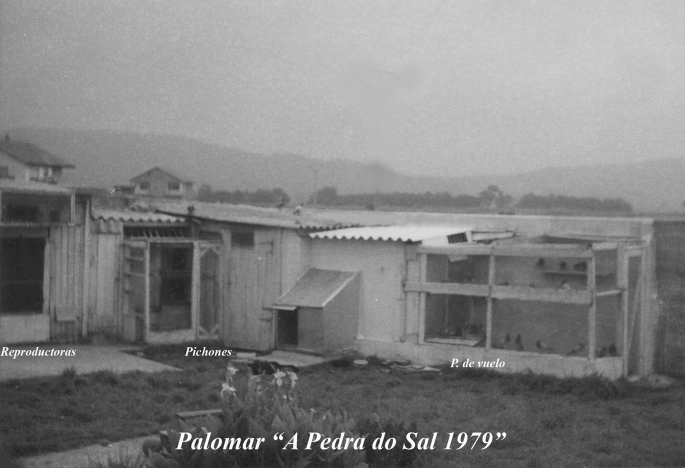 Palomar A Pedra do Sal 1979